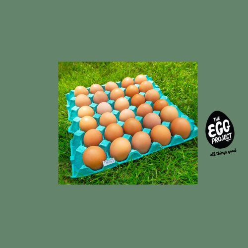 30 Free Range Eggs - SIZE 6 